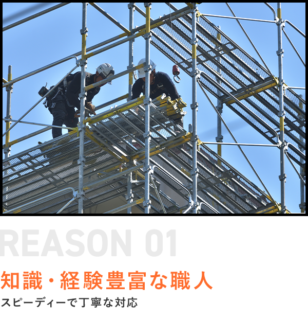 知識・経験豊富な職人